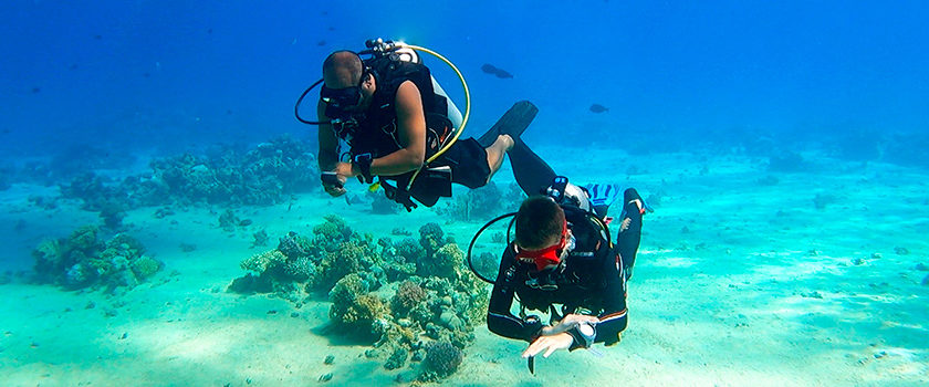 adv padi