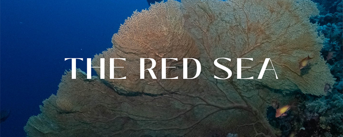 RED SEA