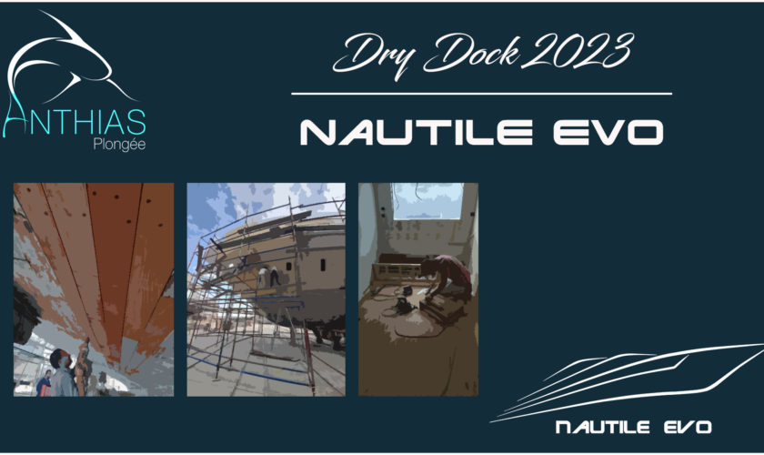 dry dock 2023