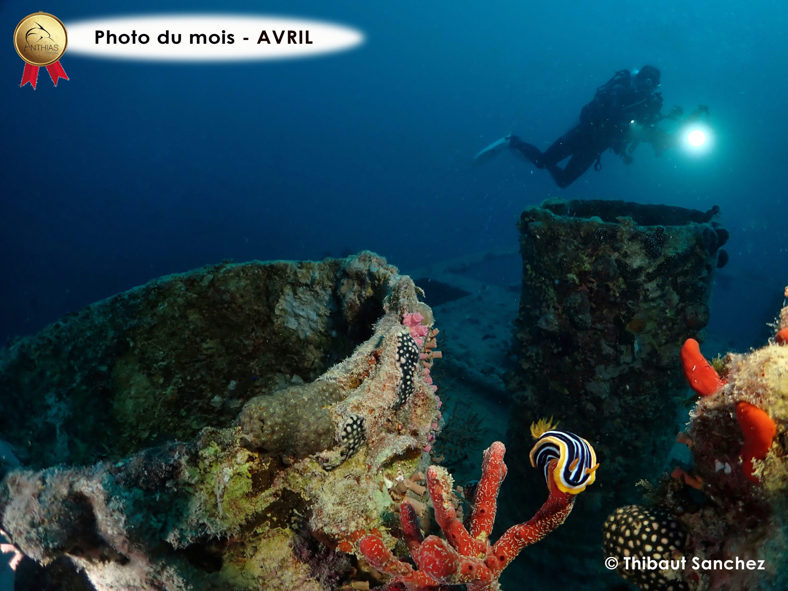 concours photo avril