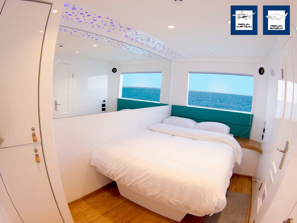cabine requin marteau