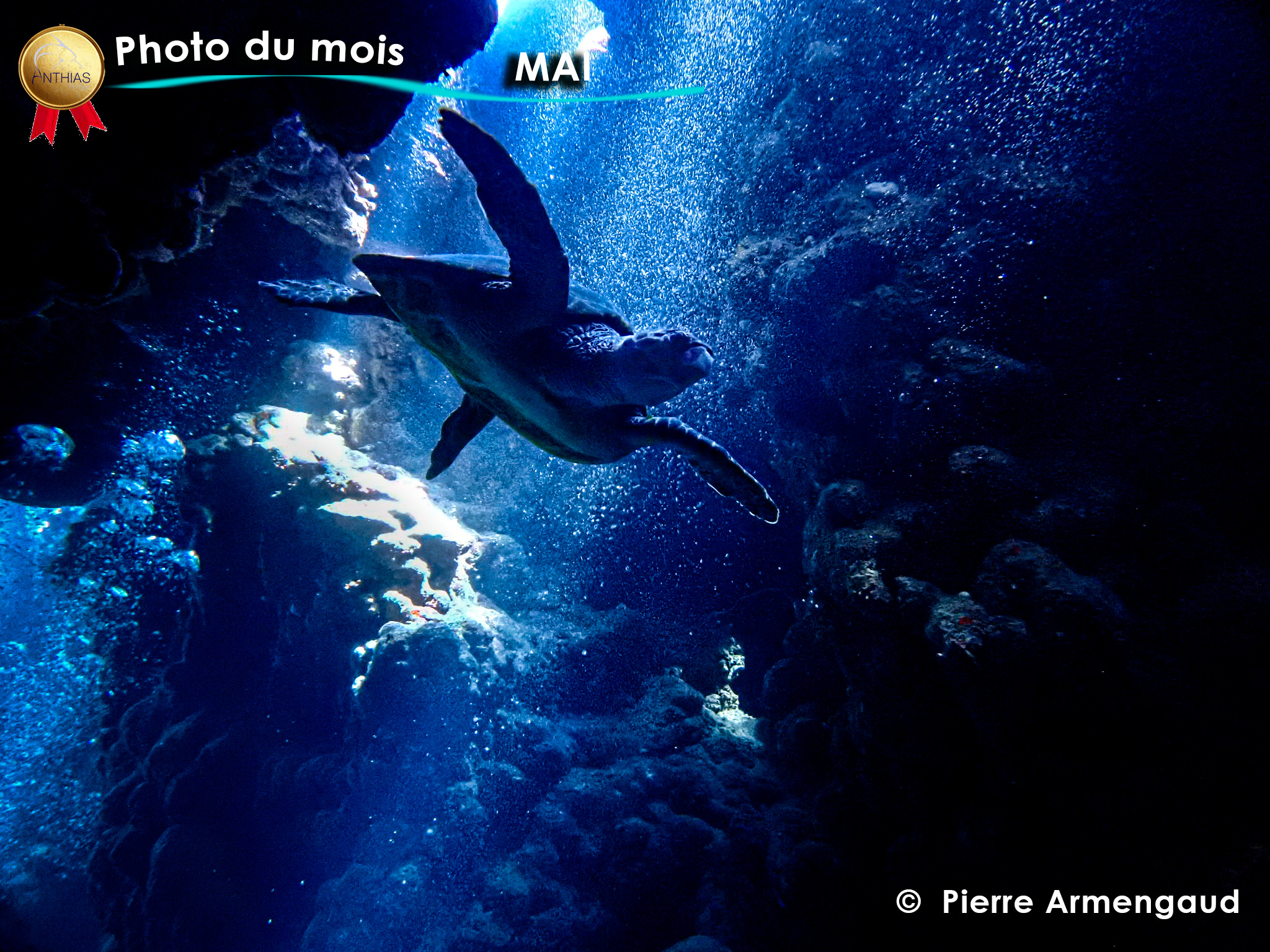 concours photo mai 2025