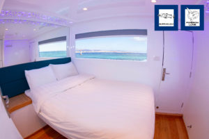 cabine single sundeck 2025