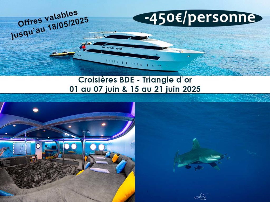 promo juin 2025